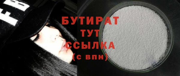 дживик Ельня