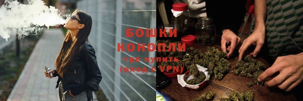 дживик Ельня