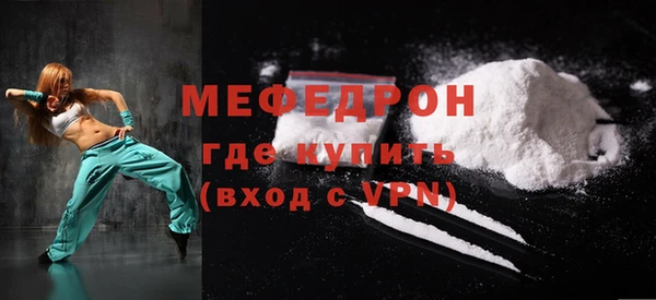 дживик Ельня