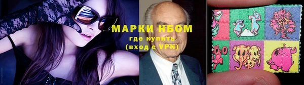 дживик Ельня