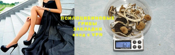 альфа пвп Елизово