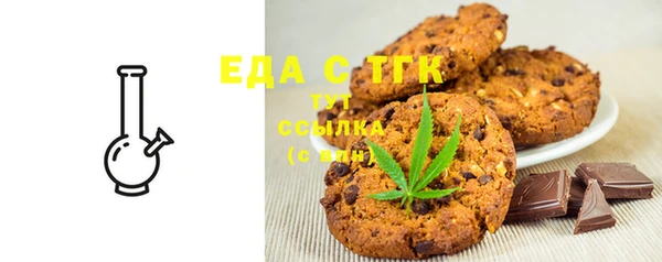 дживик Ельня