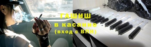 дживик Ельня