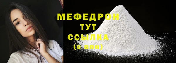 дживик Ельня