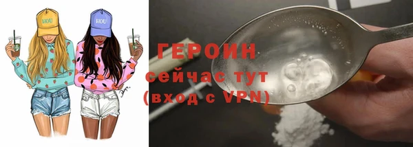 дживик Ельня