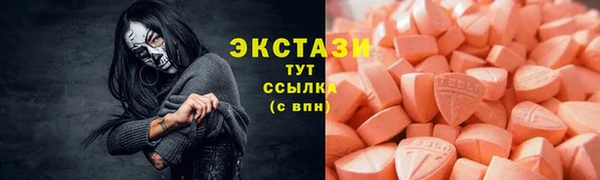 дживик Ельня