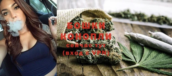 альфа пвп Елизово
