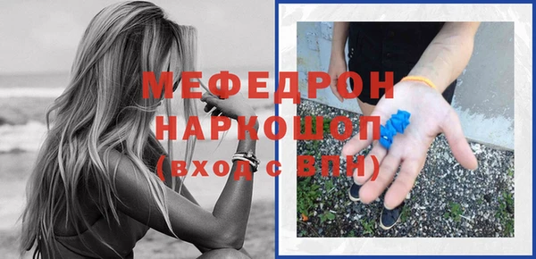 дживик Ельня