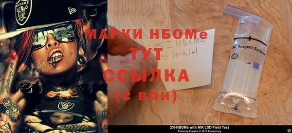 дживик Ельня