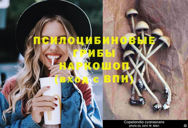 альфа пвп Елизово