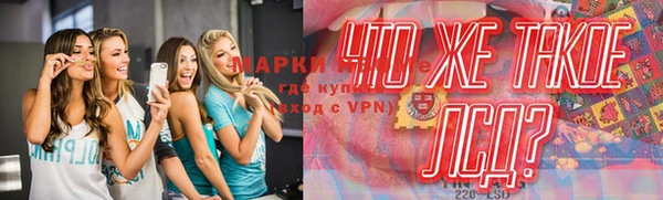альфа пвп Елизово