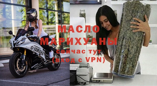 дживик Ельня